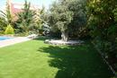 Decorative Artificial Grass