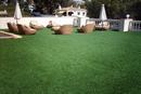 Decorative Artificial Grass