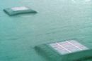 Waterproofing